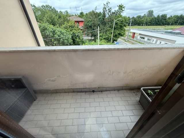 IMG_2208