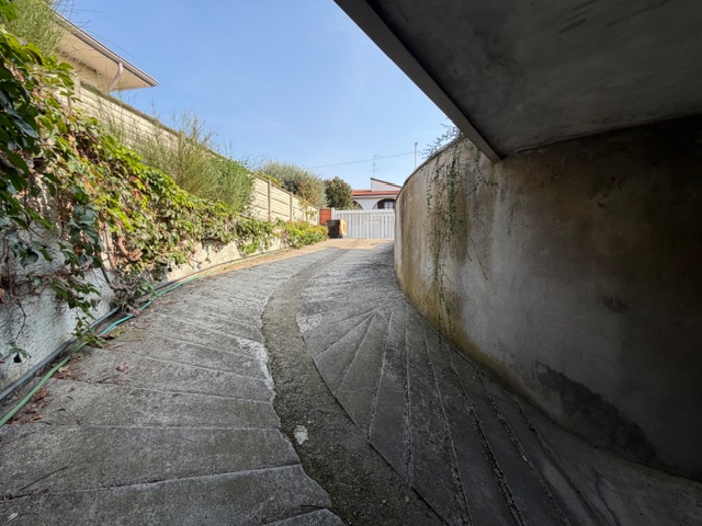 AIMG_0237